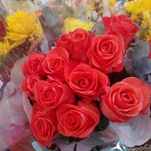 Meet your Posher, Rosa